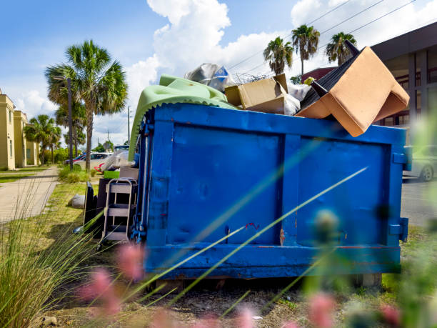 Best Moving and Downsizing Cleanouts  in Sheffield Lake, OH